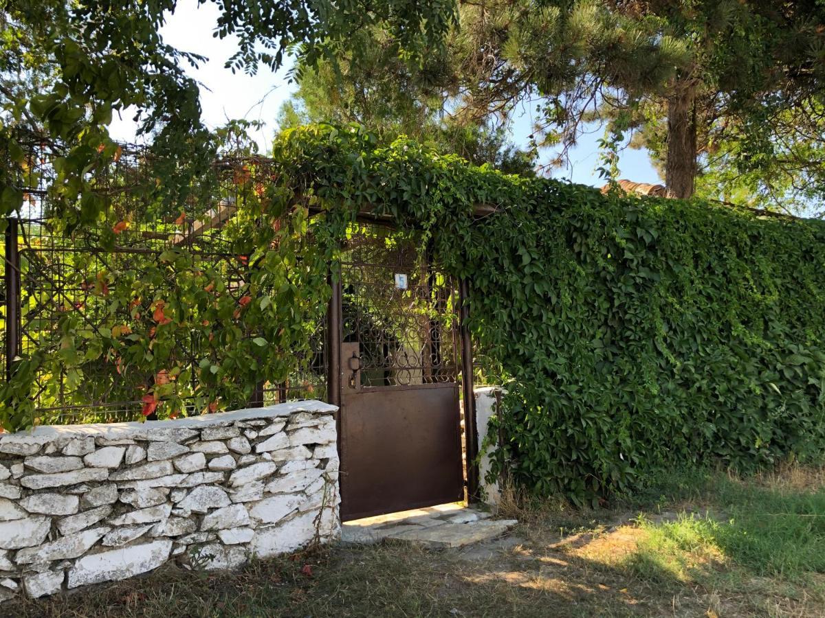 Hotel Grauri si Smochini Vadu Esterno foto